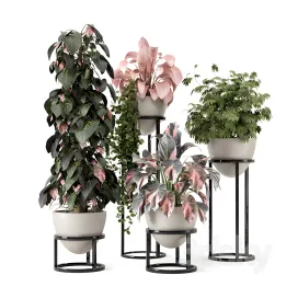 Indoor plants in rusty concrete pot on metal shelf